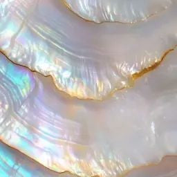 Purity